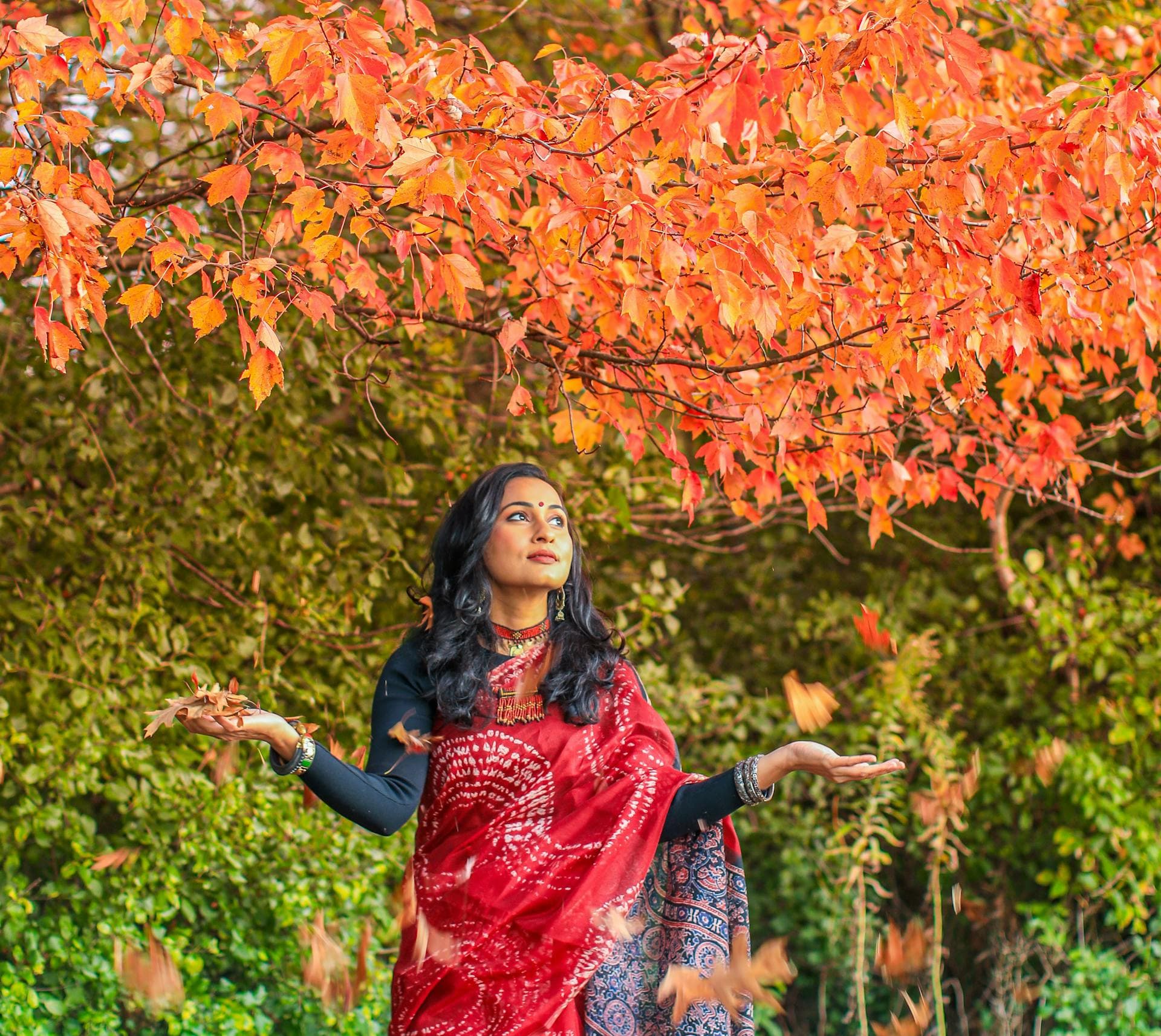 Kerala Sarees